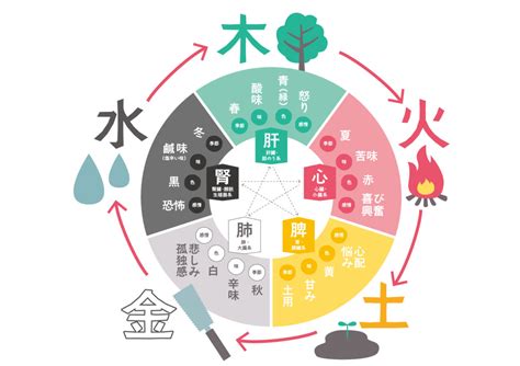 金 水 五行|五行